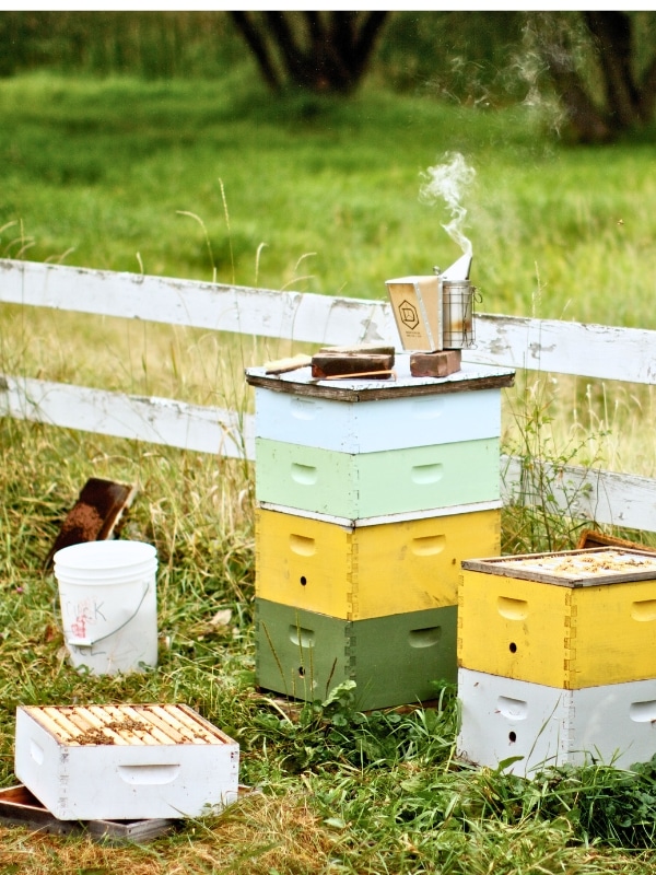 home beekeeping benefits