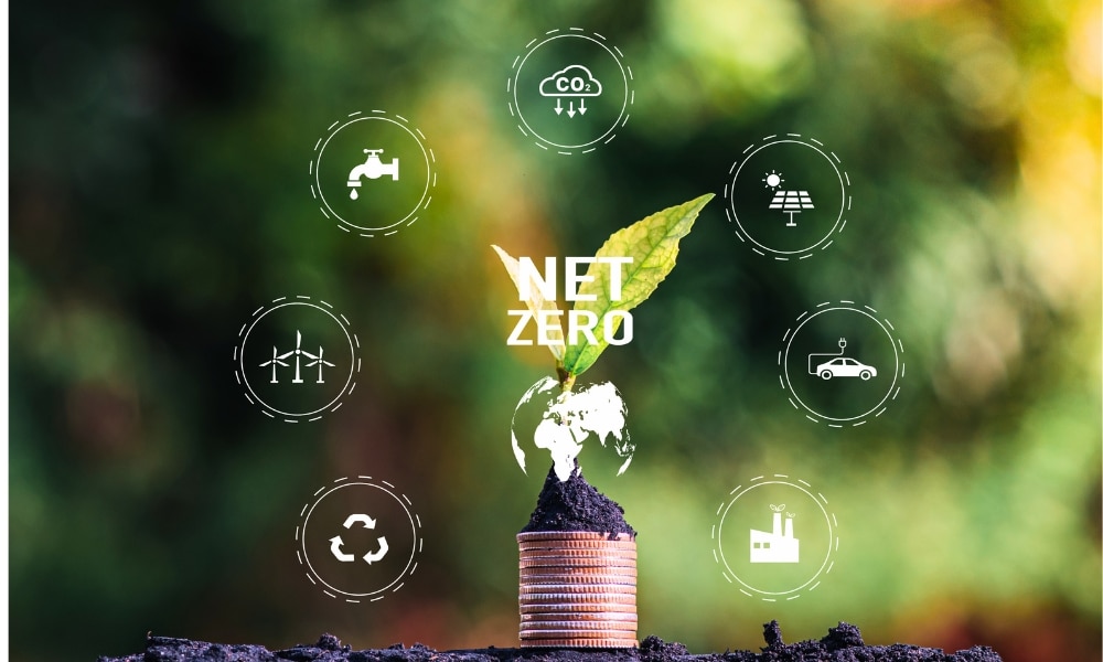 net-zero home design